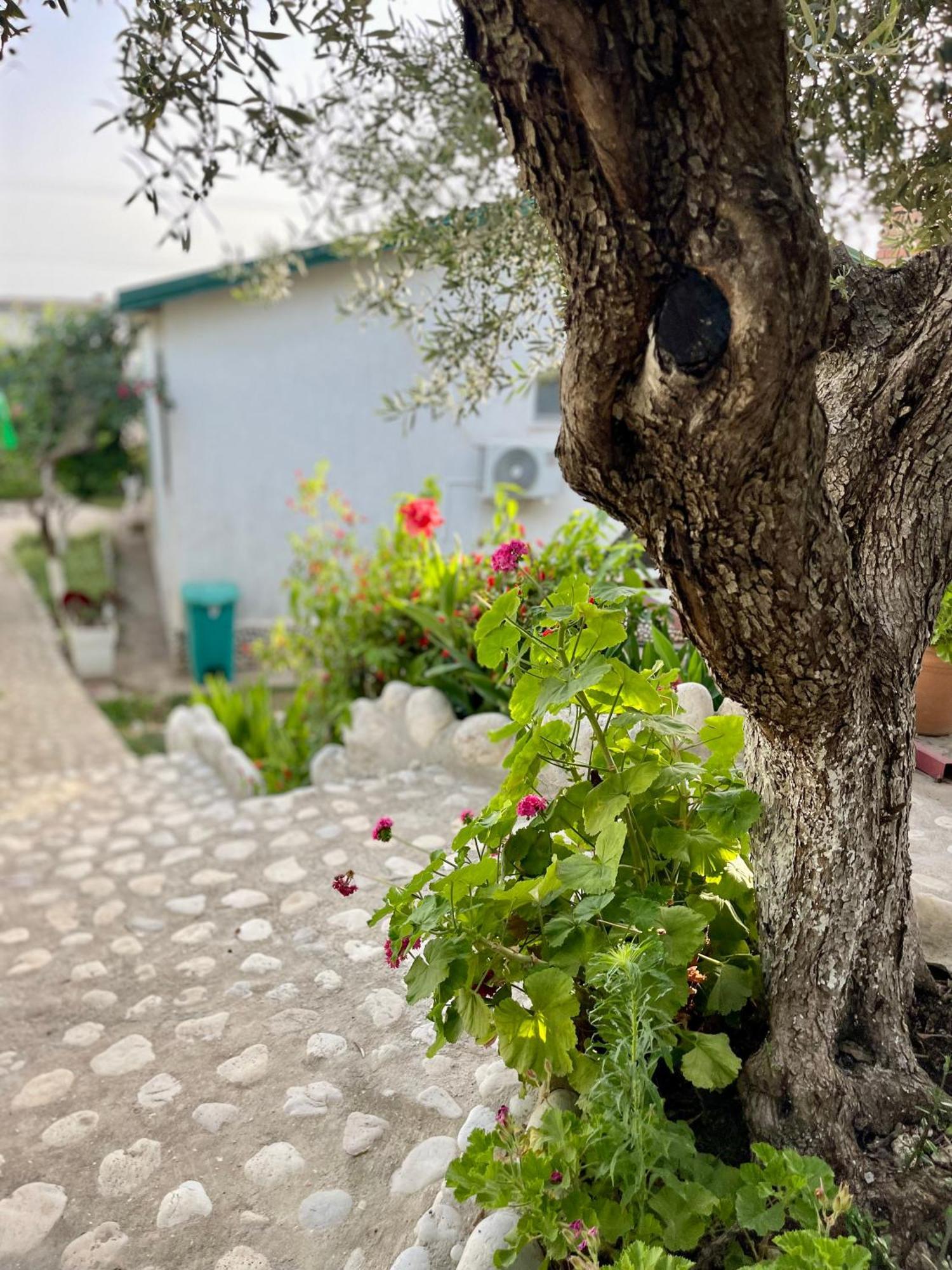 Chalet Ambel Dhermi Exterior photo