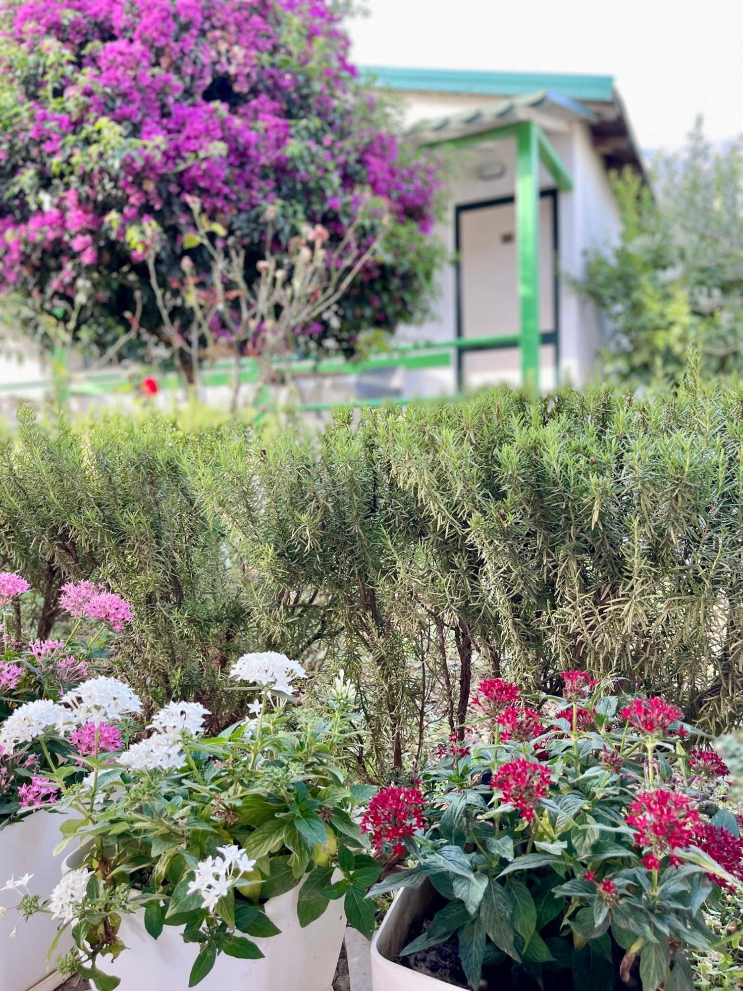 Chalet Ambel Dhermi Exterior photo
